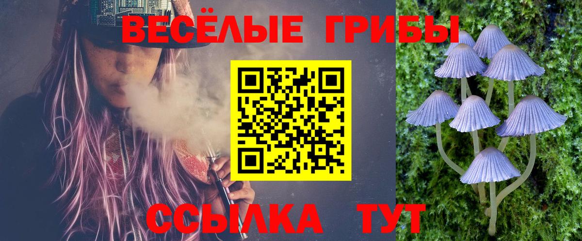 где можно купить   Вход с VPN  Грязи  Галлюциногенные грибы Psilocybine cubensis 